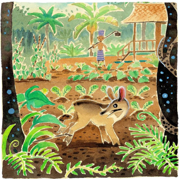 The Adventures of Mouse Deer: Favorite Folk Tales Southeast Asia