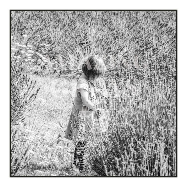 Amazing Grays #3: A Grayscale Adult Coloring Book with 50 Fine Photos of People, Places, Pets, Plants & More