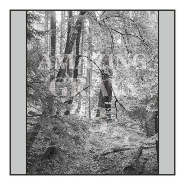 Amazing Grays #3: A Grayscale Adult Coloring Book with 50 Fine Photos of People, Places, Pets, Plants & More