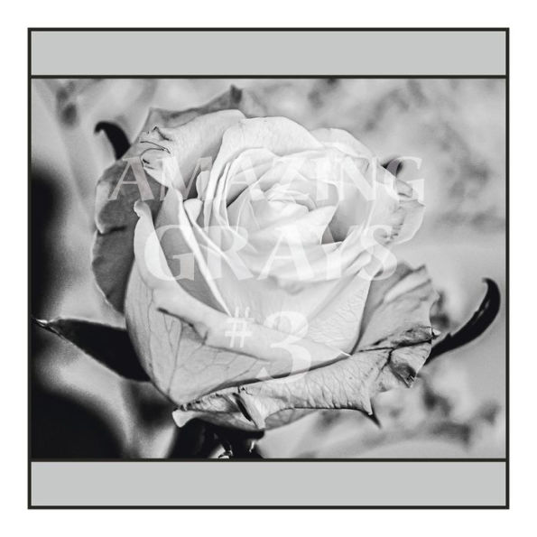 Amazing Grays #3: A Grayscale Adult Coloring Book with 50 Fine Photos of People, Places, Pets, Plants & More