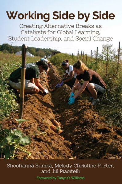 Working Side by Side: Creating Alternative Breaks as Catalysts for Global Learning, Student Leadership, and Social Change / Edition 1