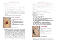 Alternative view 9 of The Complete Lenormand Oracle Handbook: Reading the Language and Symbols of the Cards