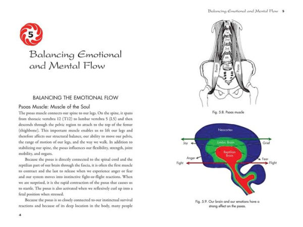 Craniosacral Chi Kung: Integrating Body and Emotion the Cosmic Flow
