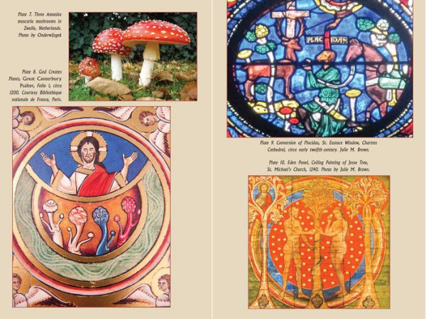 The Psychedelic Gospels: The Secret History of Hallucinogens in Christianity