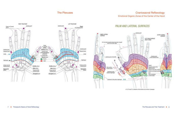 Total Reflexology of the Hand: An Advanced Guide to the Integration of Craniosacral Therapy and Reflexology