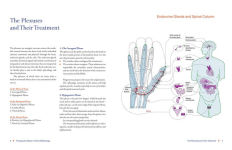 Alternative view 4 of Total Reflexology of the Hand: An Advanced Guide to the Integration of Craniosacral Therapy and Reflexology