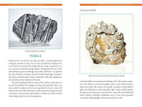 Alternative view 4 of Crystals for Karmic Healing: Transform Your Future by Releasing Your Past