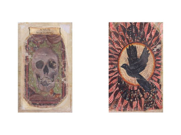 The Sibyls Oraculum: Oracle of the Black Doves of Africa