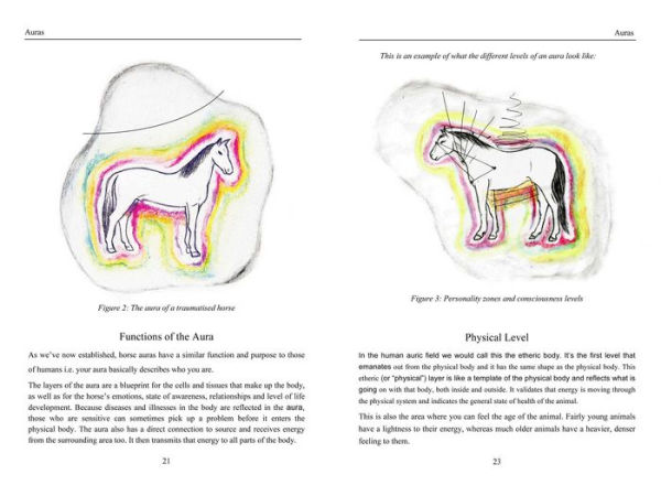 Energy Medicine for Animals: The Bioenergetics of Animal Healing