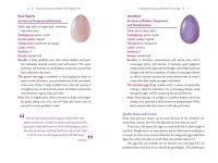 Alternative view 2 of The Yoni Egg: Reveal and Release the Sacred Feminine Within