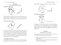 Alternative view 4 of The Art and Science of Face Reading: Face Morphology in the Western Spiritual Tradition