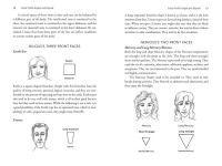 Alternative view 6 of The Art and Science of Face Reading: Face Morphology in the Western Spiritual Tradition