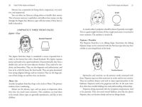Alternative view 7 of The Art and Science of Face Reading: Face Morphology in the Western Spiritual Tradition