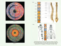 Alternative view 3 of Remote Healing: Nonlocal Information Medicine and the Akashic Field