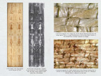 Alternative view 2 of A Burst of Conscious Light: Near-Death Experiences, the Shroud of Turin, and the Limitless Potential of Humanity