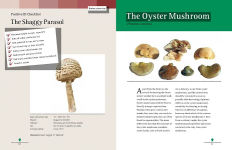 Alternative view 2 of Mushrooming with Confidence: A Guide to Collecting Edible and Tasty Mushrooms