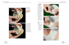 Alternative view 10 of Mushrooming with Confidence: A Guide to Collecting Edible and Tasty Mushrooms