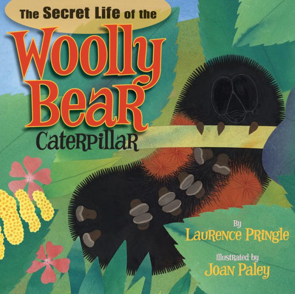 the Secret Life of Woolly Bear Caterpillar