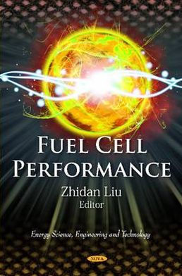 Fuel Cell Performance