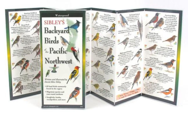 Sibley's Backyard Birds of Pacific Northwest