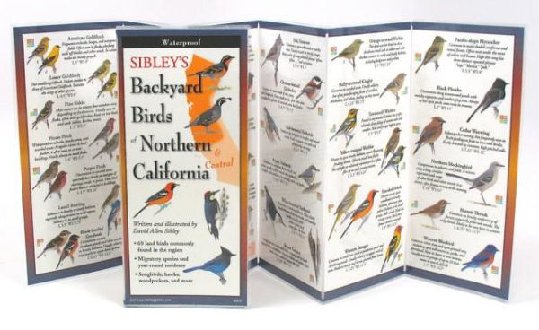 Sibley's Backyard Birds of Northern California