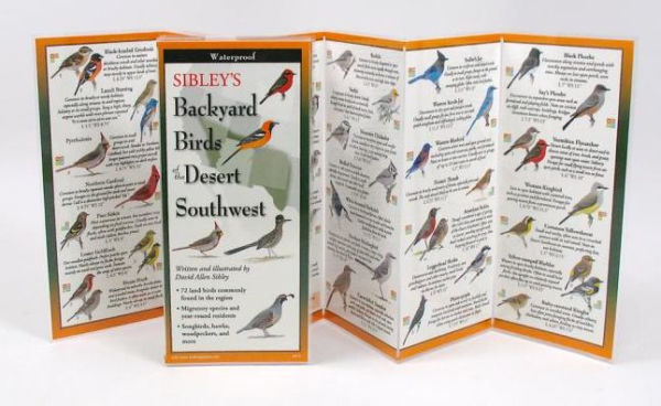 Sibley's Backyard Birds of the Desert Southwest