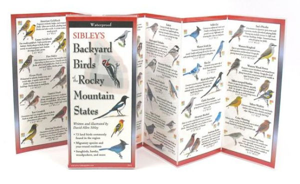 Sibley's Backyard Birds of Rocky Mountain States