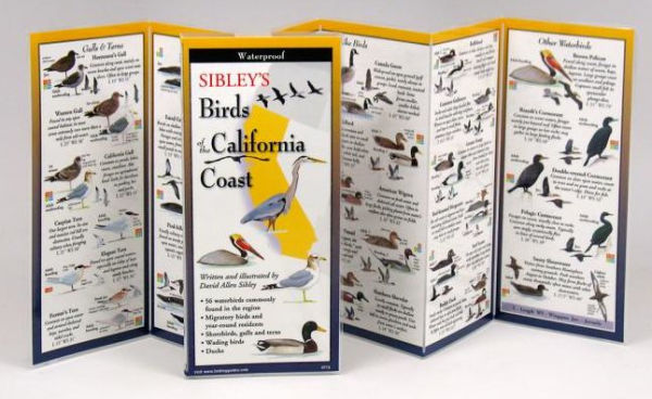 Sibley's Birds of the California Coast