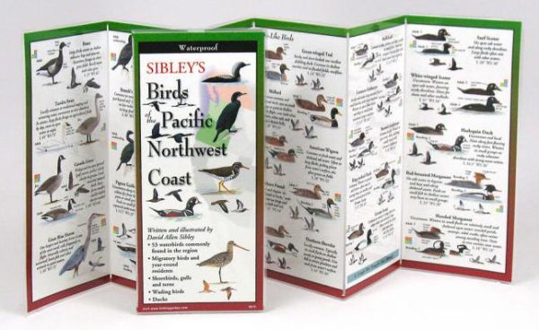 Sibley's Birds of Pacific Northwest Coast