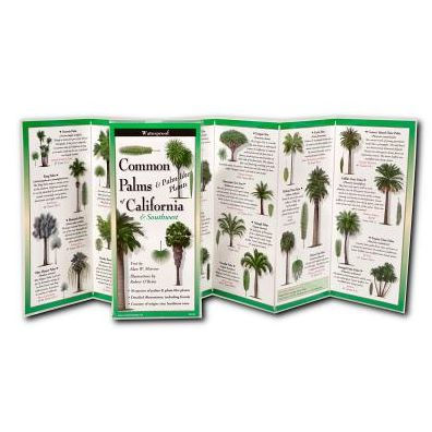 Common Palms of California & Southwest