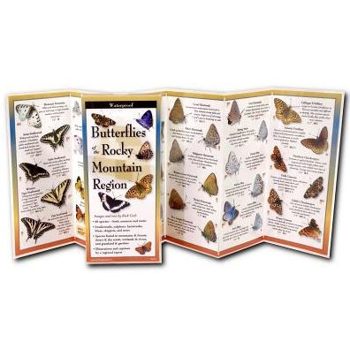 Butterflies of the Rocky Mountain Region