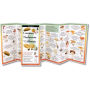 Common Mushrooms of California