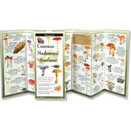 Title: Common Mushrooms of the Southeast, Author: Karl McKnight