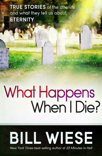 What Happens When I Die?: True Stories of the Afterlife and They Tell Us About Eternity
