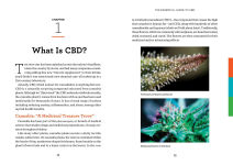 Alternative view 14 of Reader's Digest The Essential Guide to CBD: Everything You Need to Know About What It Helps, Where to Buy, And How to Take It