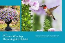 Alternative view 11 of Birds & Blooms Ultimate Guide to Hummingbirds: Discover the wonders of one of nature's most magical creatures