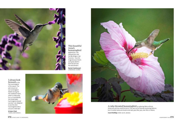Birds & Blooms Ultimate Guide to Hummingbirds: Discover the wonders of one of nature's most magical creatures
