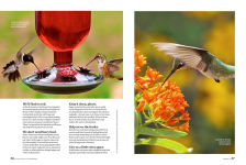 Alternative view 2 of Birds & Blooms Ultimate Guide to Hummingbirds: Discover the wonders of one of nature's most magical creatures