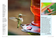 Alternative view 4 of Birds & Blooms Ultimate Guide to Hummingbirds: Discover the wonders of one of nature's most magical creatures