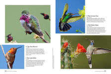 Alternative view 6 of Birds & Blooms Ultimate Guide to Hummingbirds: Discover the wonders of one of nature's most magical creatures
