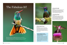 Alternative view 8 of Birds & Blooms Ultimate Guide to Hummingbirds: Discover the wonders of one of nature's most magical creatures
