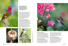 Alternative view 10 of Birds & Blooms Ultimate Guide to Hummingbirds: Discover the wonders of one of nature's most magical creatures