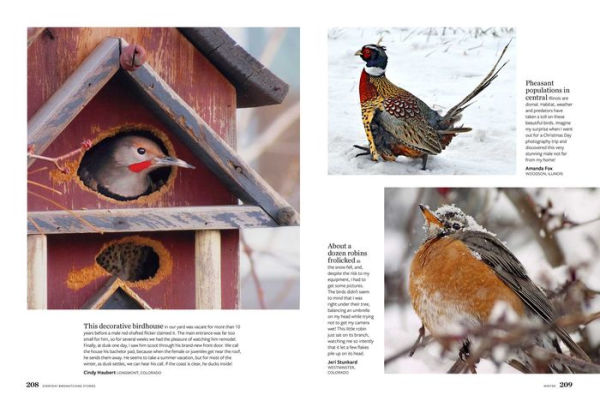 Birds & Blooms Everyday Birdwatching Stories: Encounters with feathered friends in every season