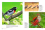 Alternative view 17 of Birds & Blooms Everyday Birdwatching Stories: Encounters with feathered friends in every season