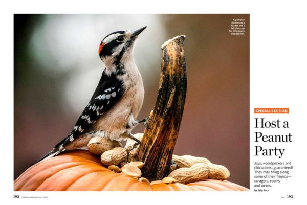 Birds & Blooms Everyday Birdwatching Stories: Encounters with feathered friends in every season