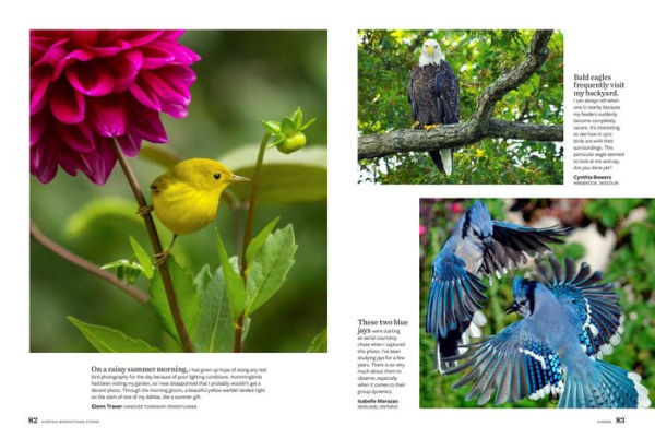 Birds & Blooms Everyday Birdwatching Stories: Encounters with feathered friends in every season