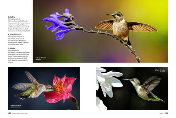 Birds & Blooms Everyday Birdwatching Stories: Encounters with feathered friends in every season