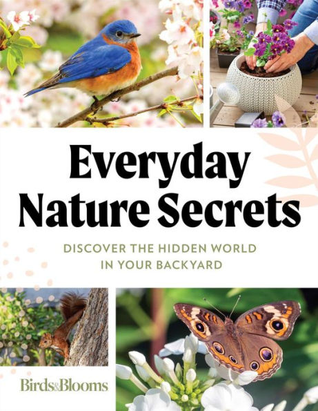 Birds & Blooms Everyday Nature Secrets: Discover the Hidden World Your Backyard