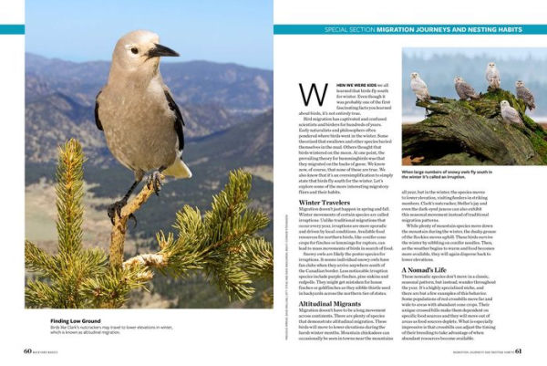 Birds and Blooms Backyard Basics: More than 300 Q&As about birds, butterflies and plants in your landscape