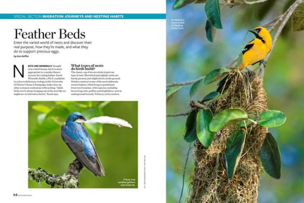 Birds and Blooms Backyard Basics: More than 300 Q&As about birds, butterflies and plants in your landscape